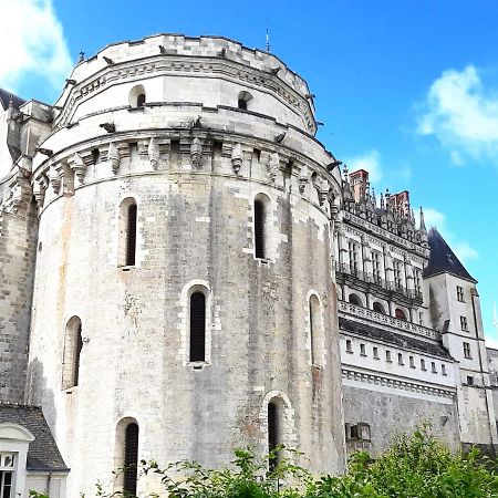 En Plein Coeur : Charmant Gite Centre Amboise Kültér fotó