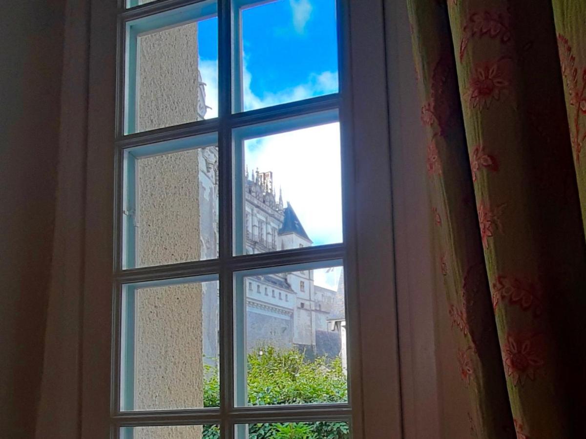 En Plein Coeur : Charmant Gite Centre Amboise Kültér fotó