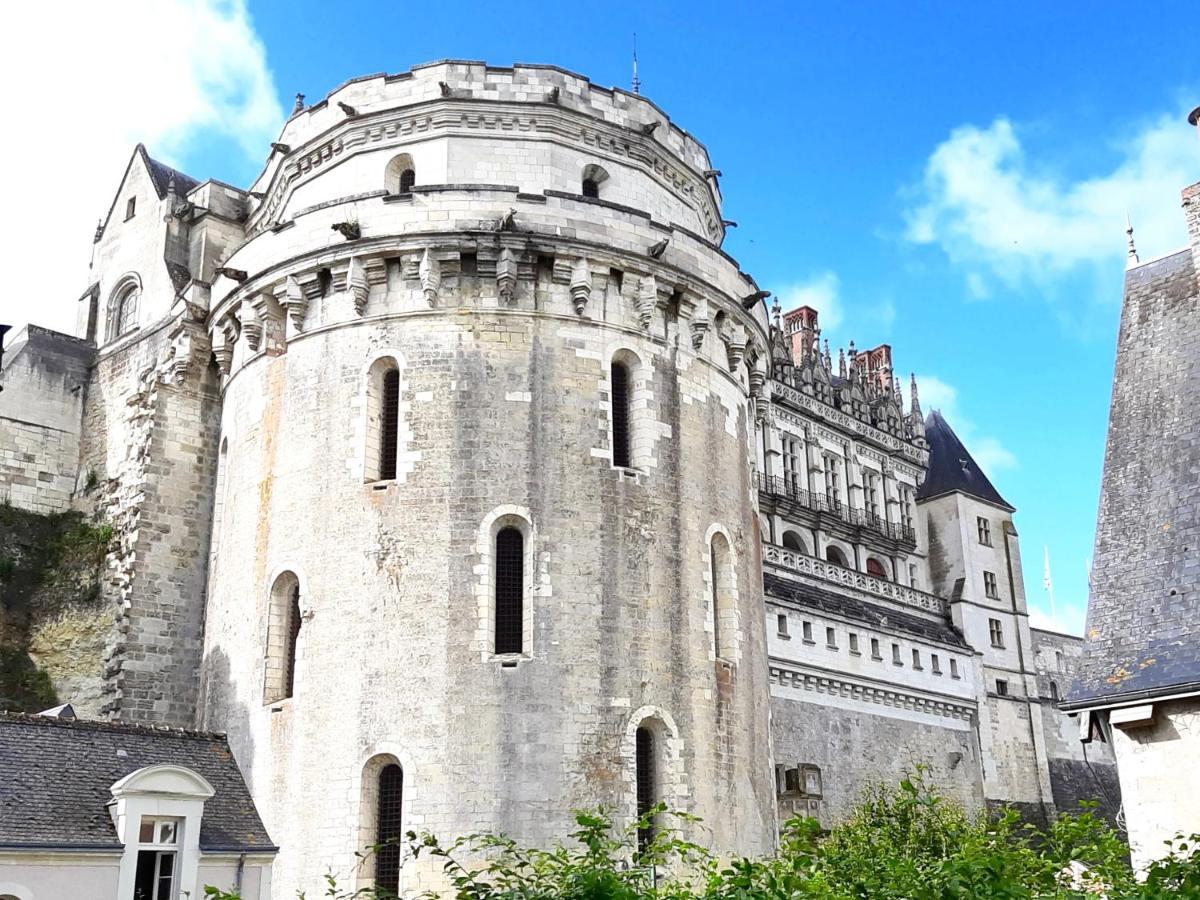 En Plein Coeur : Charmant Gite Centre Amboise Apartman Kültér fotó